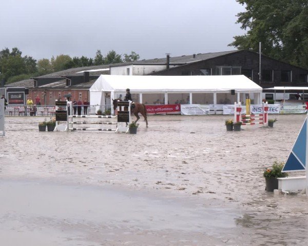 Reitturnier Datteln 2024