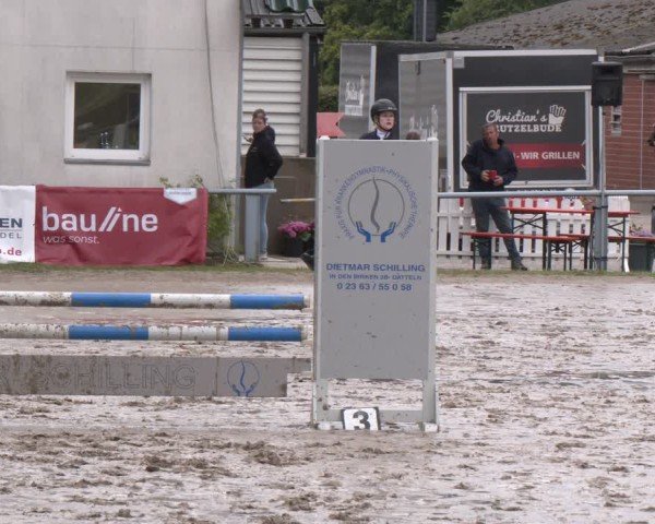 Reitturnier Datteln 2024