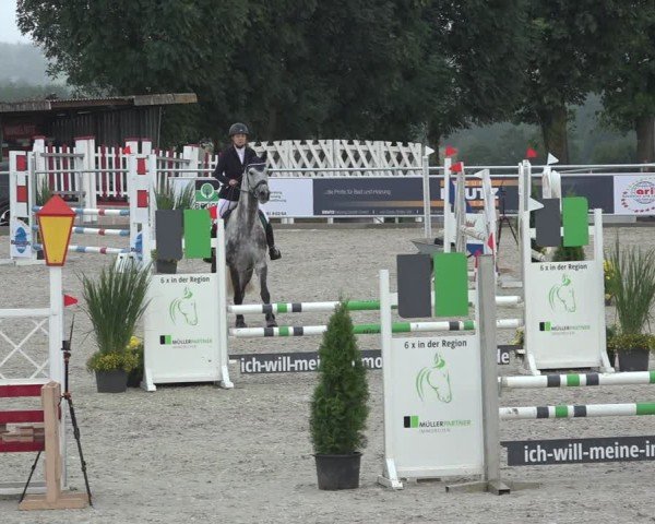Reitturnier Stolberg-Büsbach 2024