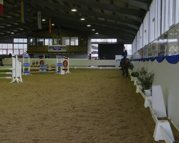 Reitturnier Münster-Albachten 2024