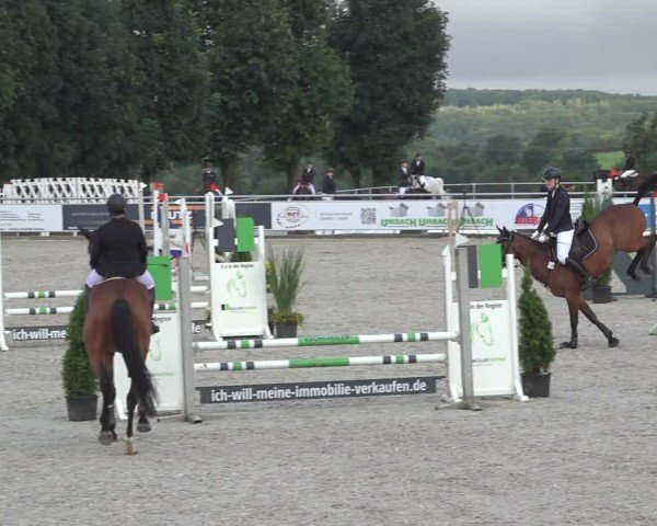 Reitturnier Stolberg-Büsbach 2024