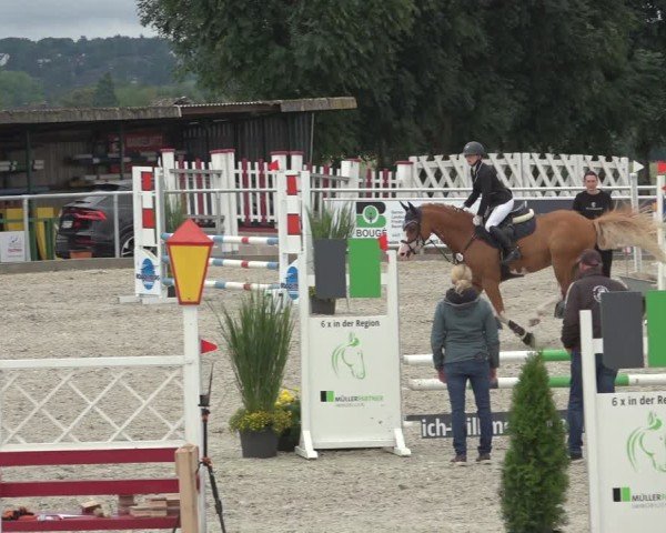 Reitturnier Stolberg-Büsbach 2024