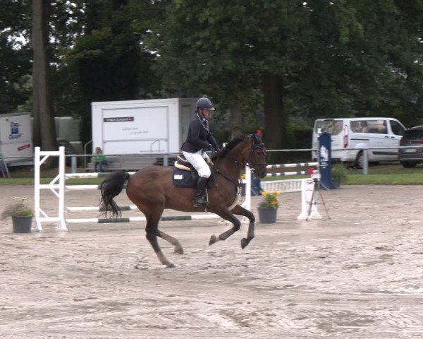 Reitturnier Datteln 2024