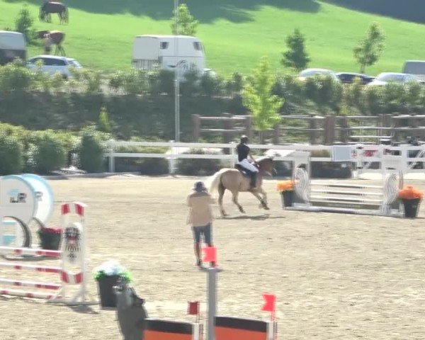 Reitturnier St. Margarethen 2024