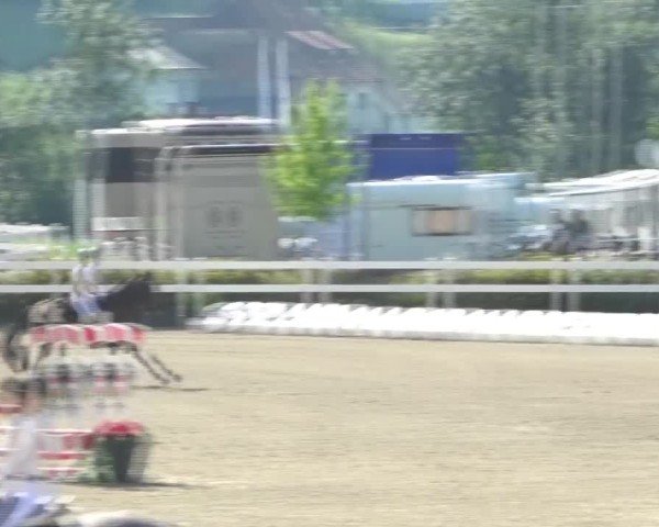 Reitturnier St. Margarethen 2024