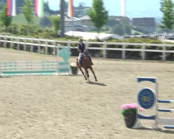 Reitturnier St. Margarethen 2024