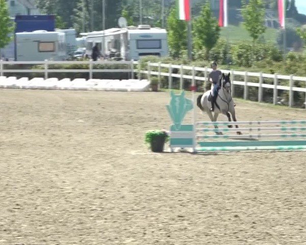 Reitturnier St. Margarethen 2024