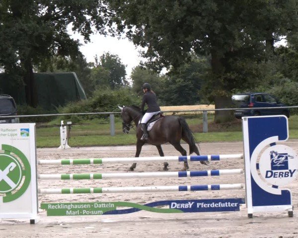 Reitturnier Datteln 2024