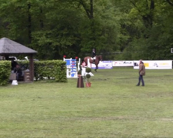 Stukenbrock 2013