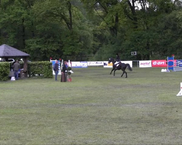 Stukenbrock 2013