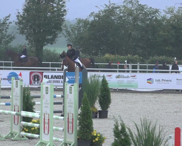 Reitturnier Stolberg-Büsbach 2024