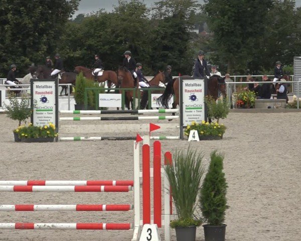 Reitturnier Stolberg-Büsbach 2024