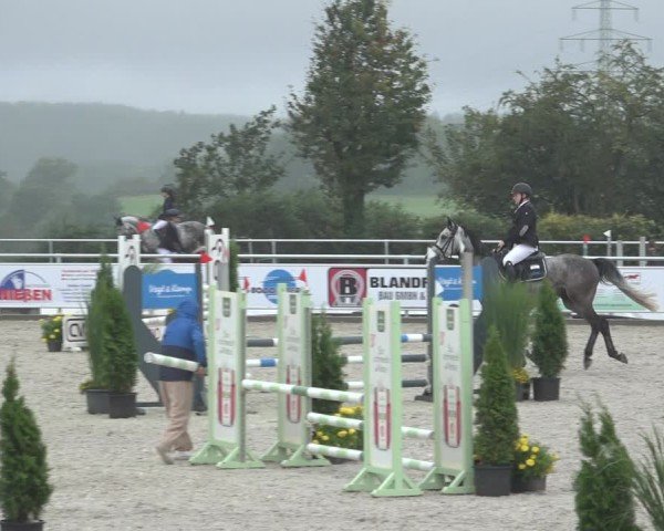 Reitturnier Stolberg-Büsbach 2024