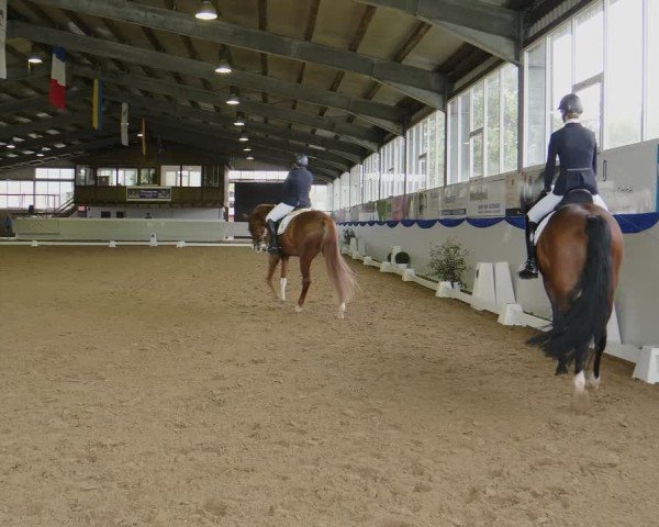 Reitturnier Münster-Albachten 2024
