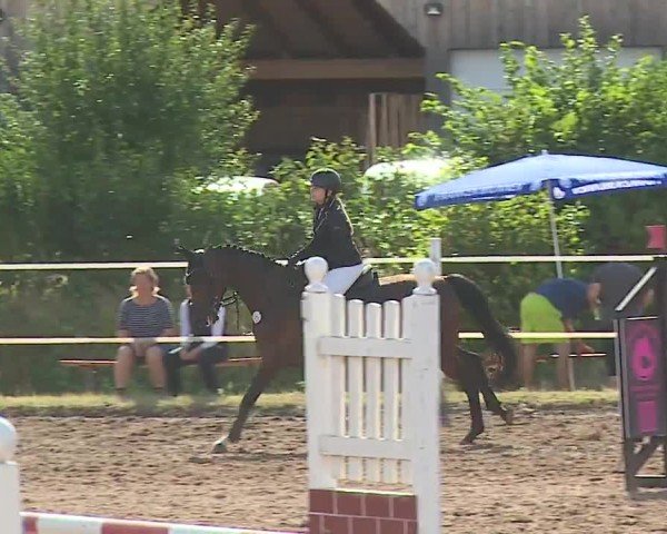 Reitturnier Demantsfürth/Mfr. 2024