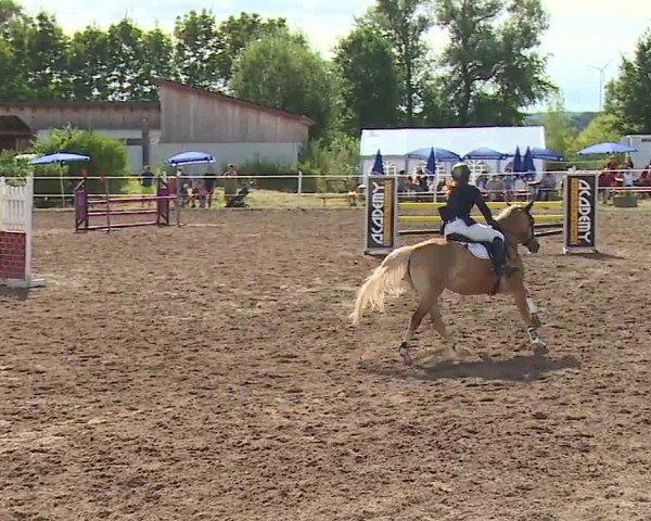 Reitturnier Demantsfürth/Mfr. 2024