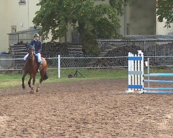 Reitturnier Demantsfürth/Mfr. 2024