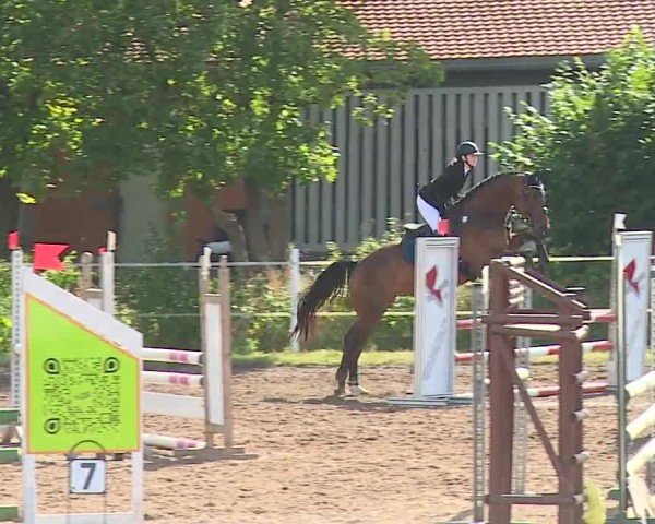 Reitturnier Demantsfürth/Mfr. 2024