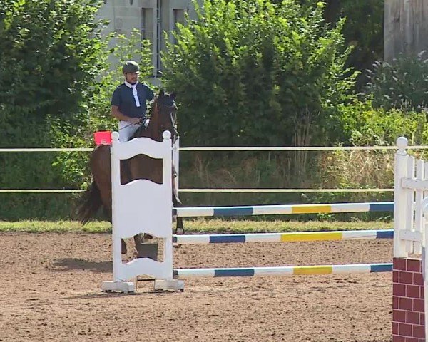 Reitturnier Demantsfürth/Mfr. 2024