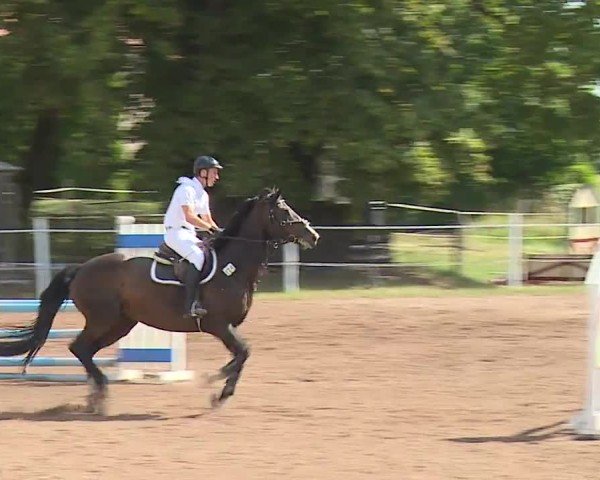 Reitturnier Demantsfürth/Mfr. 2024