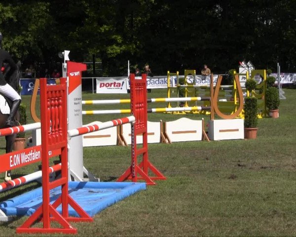 Stukenbrock 2013