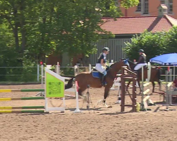 Reitturnier Demantsfürth/Mfr. 2024
