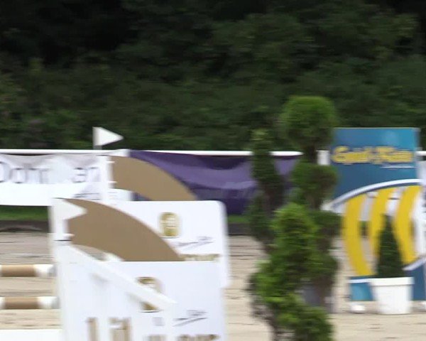 Reitturnier Bergisch Gladbach - Hebborner Hof 2024