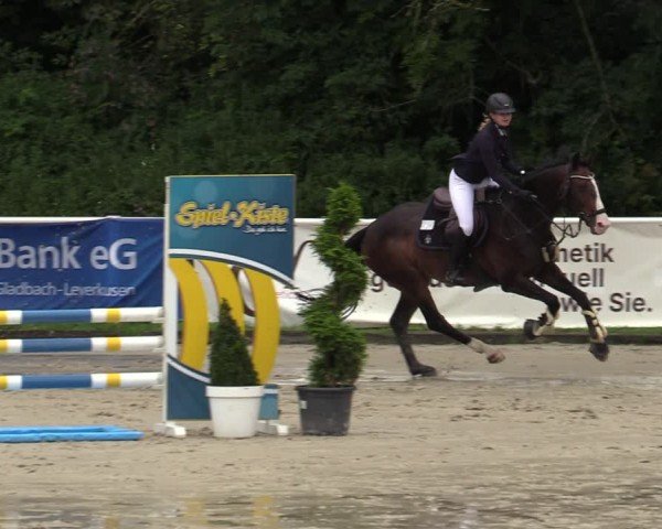 Reitturnier Bergisch Gladbach - Hebborner Hof 2024