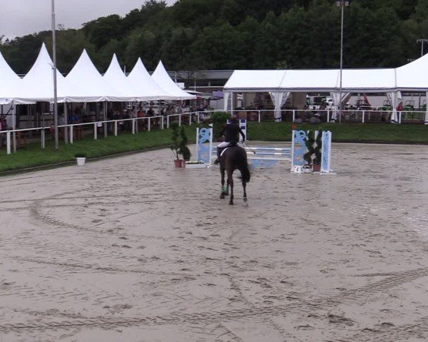 Reitturnier Bergisch Gladbach - Hebborner Hof 2024