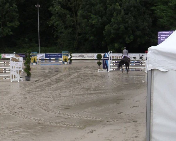 Reitturnier Bergisch Gladbach - Hebborner Hof 2024