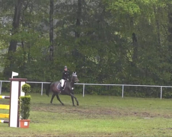 Stukenbrock 2013