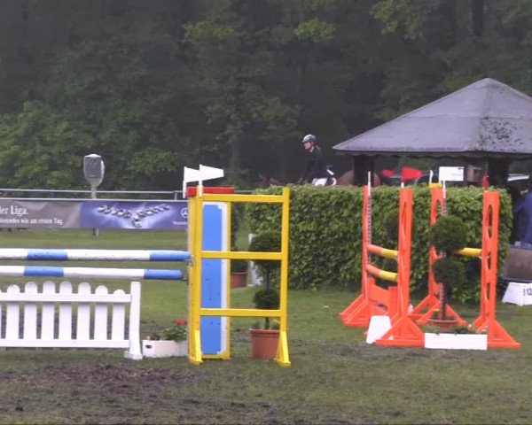 Stukenbrock 2013