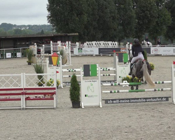 Reitturnier Stolberg-Büsbach 2024