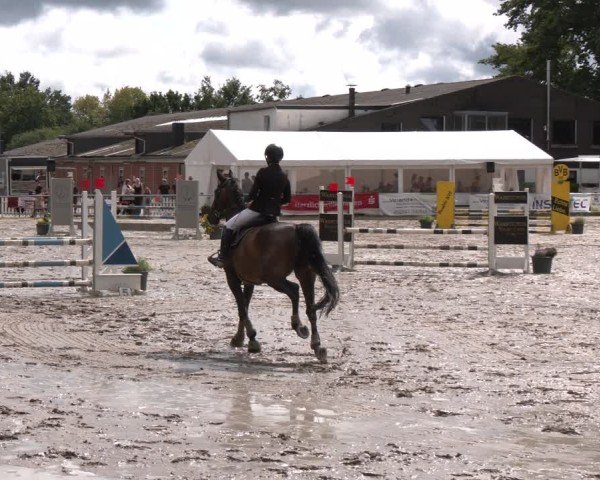 Reitturnier Datteln 2024