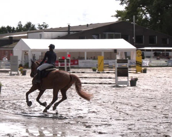 Reitturnier Datteln 2024