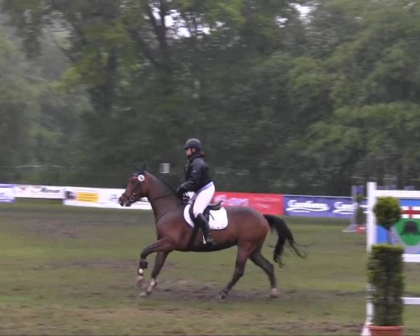 Stukenbrock 2013