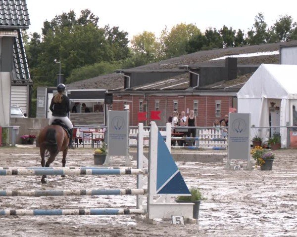 Reitturnier Datteln 2024
