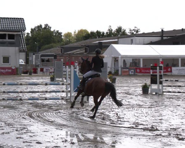 Reitturnier Datteln 2024