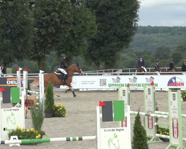 Reitturnier Stolberg-Büsbach 2024
