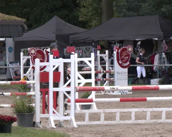 Reitturnier Datteln 2024