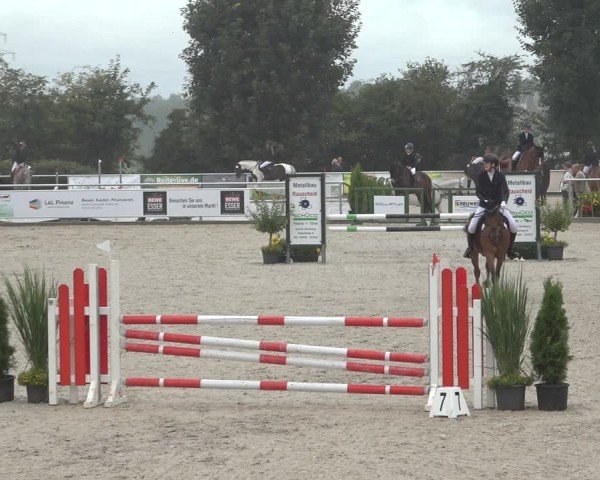 Reitturnier Stolberg-Büsbach 2024