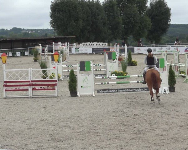 Reitturnier Stolberg-Büsbach 2024