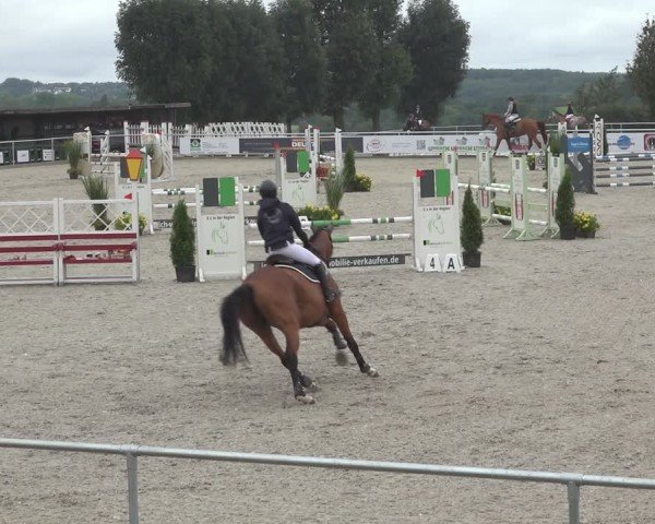 Reitturnier Stolberg-Büsbach 2024