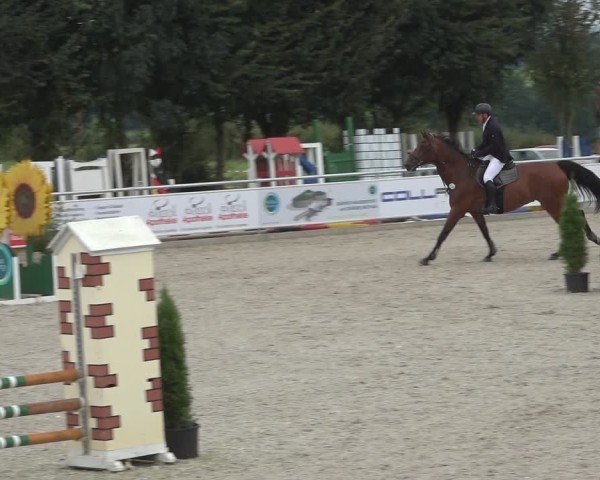 Reitturnier Stolberg-Büsbach 2024