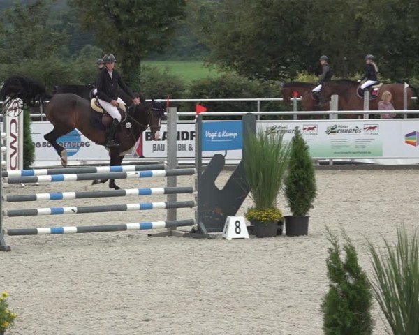 Reitturnier Stolberg-Büsbach 2024