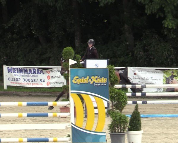Reitturnier Bergisch Gladbach - Hebborner Hof 2024