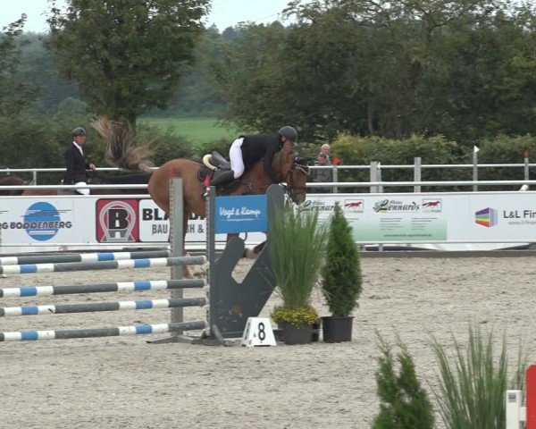 Reitturnier Stolberg-Büsbach 2024