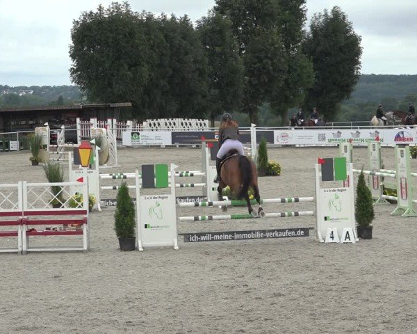 Reitturnier Stolberg-Büsbach 2024