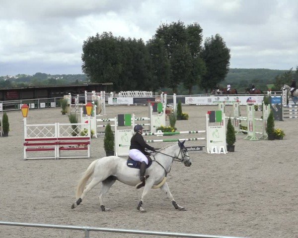 Reitturnier Stolberg-Büsbach 2024