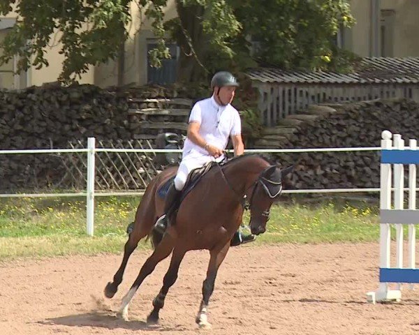 Reitturnier Demantsfürth/Mfr. 2024